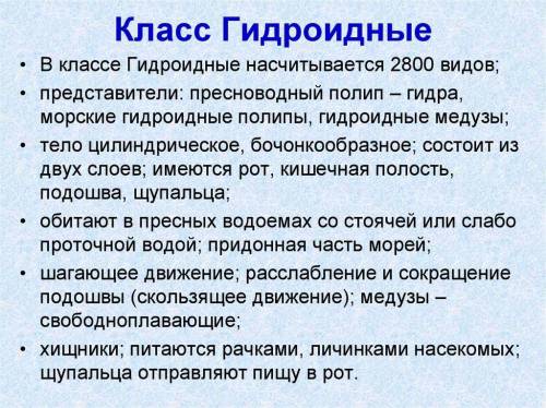 Систематика 3 класса кишечнополостных