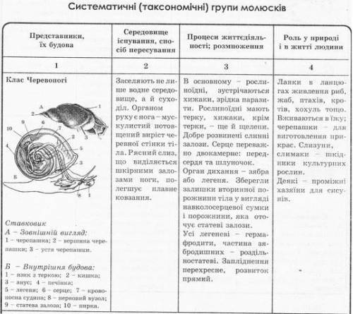 ответьте как заполнить таблицу