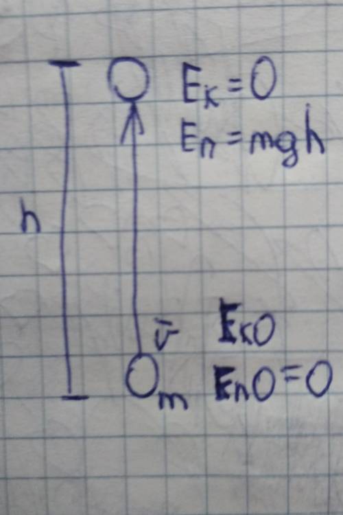 Найти потенциальную энергию тела массой 100 г, брошенного вертикально вверх со скоростью 10 м/с, выш