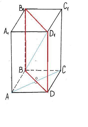 Основание прямого параллелепипеда abcda1b1c1d1—ромб abcd. найдите угол между прямыми bd1 и ac.