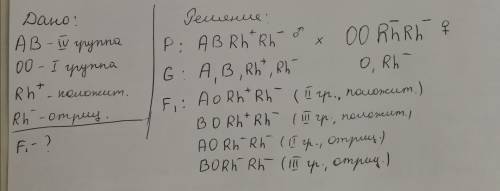 Гетерозиготный резус положительный мужчина с 4 группой крови женится на резус отрицательной женщине,