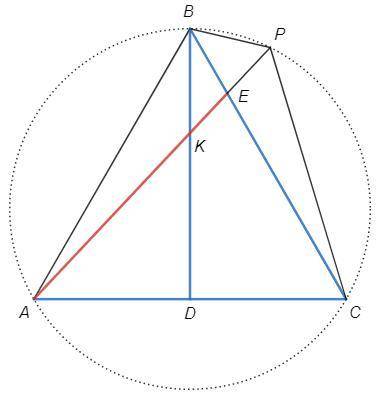Вкруг вписан равносторонний треугольник abc. хорда ap пересекает медиану bd так, что bk: kd = 1: 6.