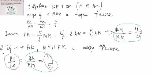 тема теорема фалеса номер 15,16 с объяснением 40
