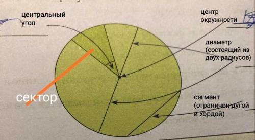 Написать верные понятия на рисунке