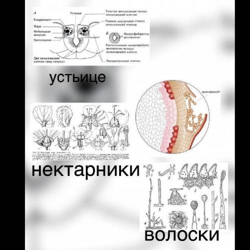 Не сложное задание, просто написать