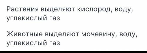 4. Выделение – это одно из основных свойств всех живых организмов. Определите продукты выделения орг