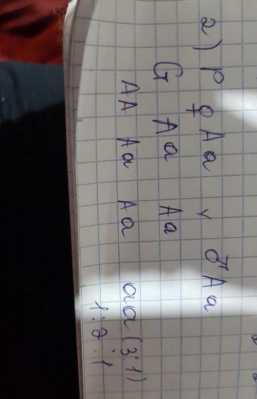 1)При скрещивании двух растений,выросших из серых семян, получили серые в сочетании 3:1.Определите г