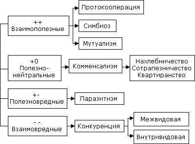 Составьте схему межвидовых отношений