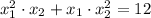 x_{1}^{2} \cdot x_{2} + x_{1} \cdot x_{2}^{2} = 12