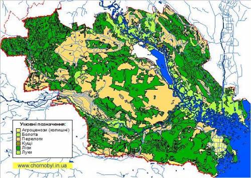 В Чорнобильській зоні відчуження ми можемо гати процес заростання полів та інших угідь лісом. Як наз