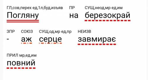 Погляну на березокрай - аж серце завмирає повний синтаксичний розбір​