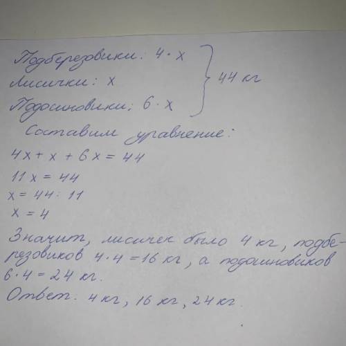 Ежиха за готовила 44 кг Грибов причём подберёзовики в четыре раза больше чем лисичек а Подосиновиков