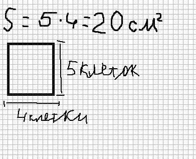 На клетчатой бумаге нарисована фигура. Сторона клетки 1 см. Найди площадь этой фигуры ответ дай кв.с