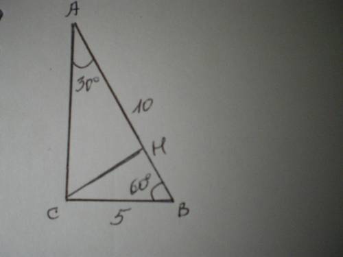 3.В треугольнике ABC треугольника ABC, BE=7см. Найдите длину отрезка ЕС.. 4. В прямоугольном треугол
