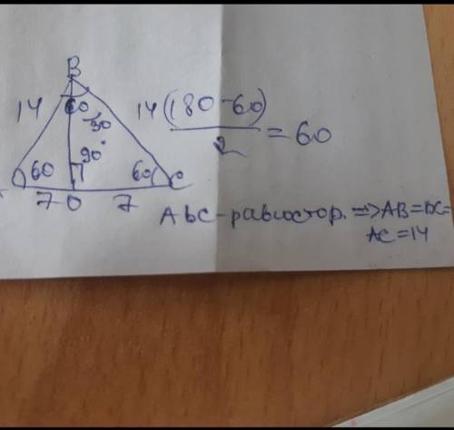 В равнобедренном треугольнике основание равно 14, угол между боковыми сторонами равен 60°. Найти выс