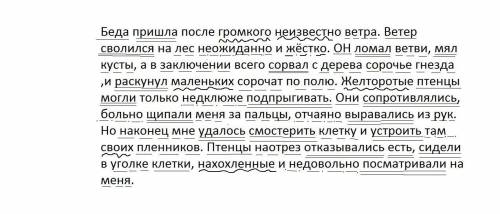 Очень важно Беда пришла после громкого неизвестно ветра. Ветер сволился на лес неожиданно и жёстко.