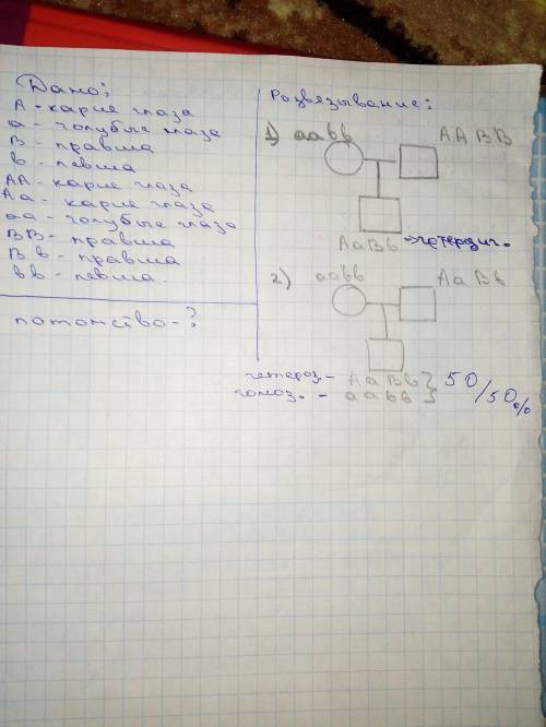 Решите задачу. Кареглазый правша женился на голубоглазой левше. Какое потомство в отношении указанны