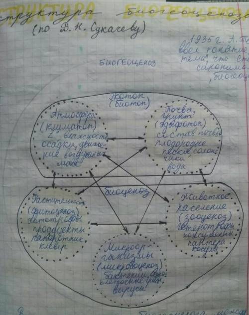 Биология 9 класс. Дополните схему биогеоценоза ребят!! ​