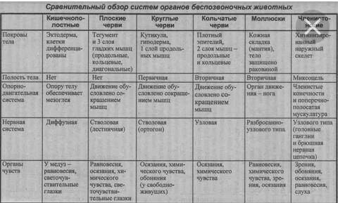 Назовите покров,симметрию и полость следующих типов животных кишечнополостные,черви(плоские,круглые,