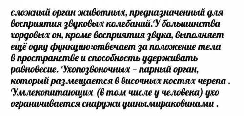 . Знакомство с особенностями органов зрения у различных животных (лягушка и белка) 1.Рассмотрите пре