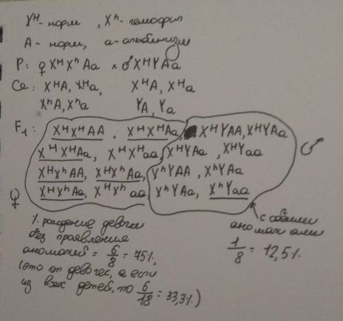 У человека гемофилия (h) - рецессивный, сцепленный с Х-хромосомой признак. Альбинизм обусловлен ауто