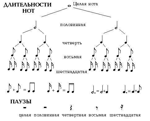 В половине ноте сколько четвертных