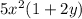 5x^{2} (1 + 2y)