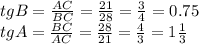 tgB=\frac{AC}{BC} =\frac{21}{28} =\frac{3}{4}=0.75\\tgA=\frac{BC}{AC} =\frac{28}{21} =\frac{4}{3} =1\frac{1}{3}