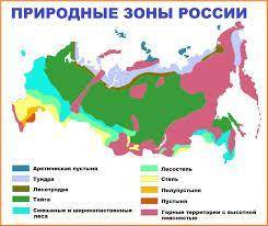 В каких природных зонах лежит территория России?