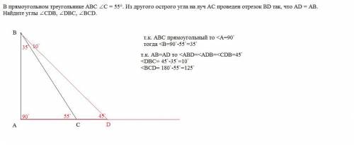 В прямоугольном треугольнике ABC ∠C = 55°. Из другого острого угла на луч AС проведен отрезок BD так