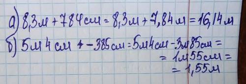 Вычислите (ответ запиши в метрах) : а) 8,3м +784см б) 5м 4см - 385см​