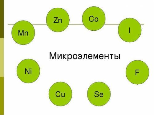 Что такое макро и микро элементы приведите пример