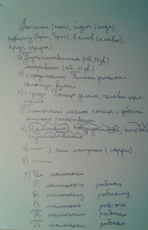 Пеликаний пассажир Друзья – огромный пеликан и маленький котёнок – подружились в заповеднике. Обычно