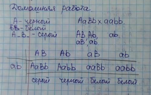 При скрещивании белого и серого кролика половина потомства оказалась белой,1/4-черной,1/4 серой Опр