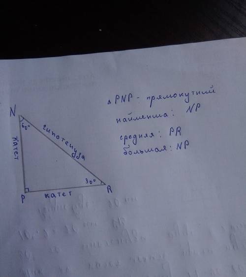 Даны величины углов треугольника NPR: угол N=60 градусов Угол P=90 градусов Угол R=30 градусов Наз