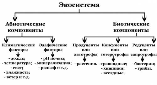 1. запишите определение экосистемы 2. запишите фамилию ученого, предложившего термин “Экосистема” 3