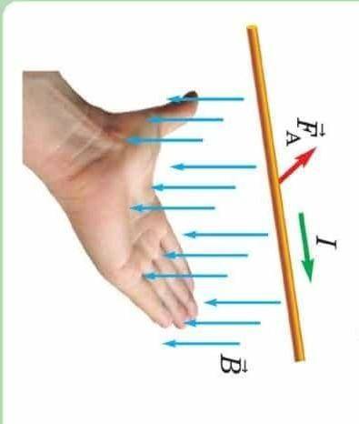2. Два проводника А и В находятся между полюсами магнита. Определить направление действия силы Ампер