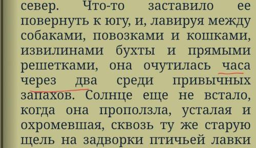 Сколько времени добиралась кошка с дачи до своих родных трущоб в рассказе Королевская аналостанка ОТ