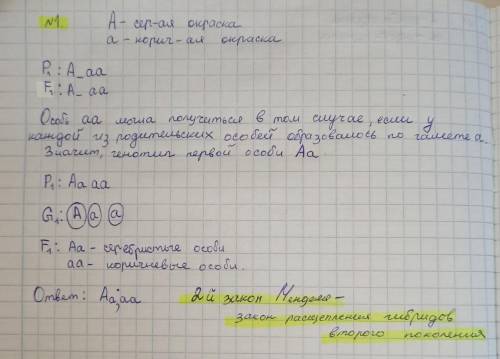 Задачи на законы МенделяПри скрещивании серых (гнедая масть) лошадей с коричневыми в потомстве появл