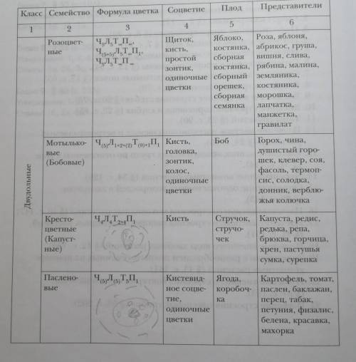 заполнить таблицу по биологии ​