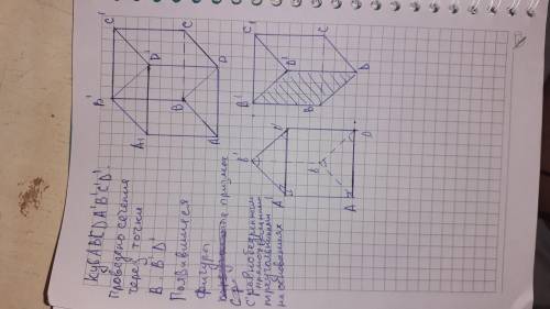 Через точки B,B1,D1, проведено сечение куба ABCDA1B1C1D1. На какие две геометрические фигуры разбива