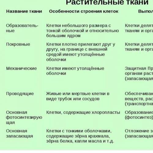 Какие особенности строения тканей растений?