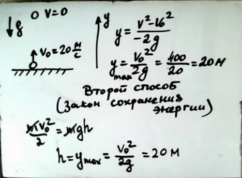 Задача № 1. На какую высоту поднимется тело, подброшенное вертикально вверх, с начальной скоростью 1