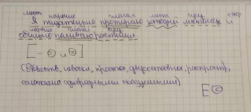 Я тчательно протираю каждый листочек и обильно поливаю растения Полный разбор предложения с характ