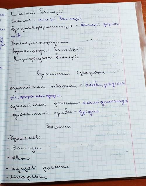 Домашнє завдання: знайдіть різні визначення поняття виду.Спробуйте застосувати їх для:вірусівбактері