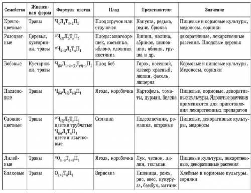 ответьте на во хозяйственное значение растений разных семейств в жизни человека В развернутом виде