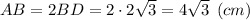 AB = 2BD = 2\cdot 2\sqrt{3} = 4\sqrt{3} \:\: (cm)