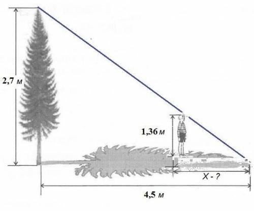 Как-то вечером девочка захотела узнать, какой длины будет тень от дерева во дворе. Длина тени оказал