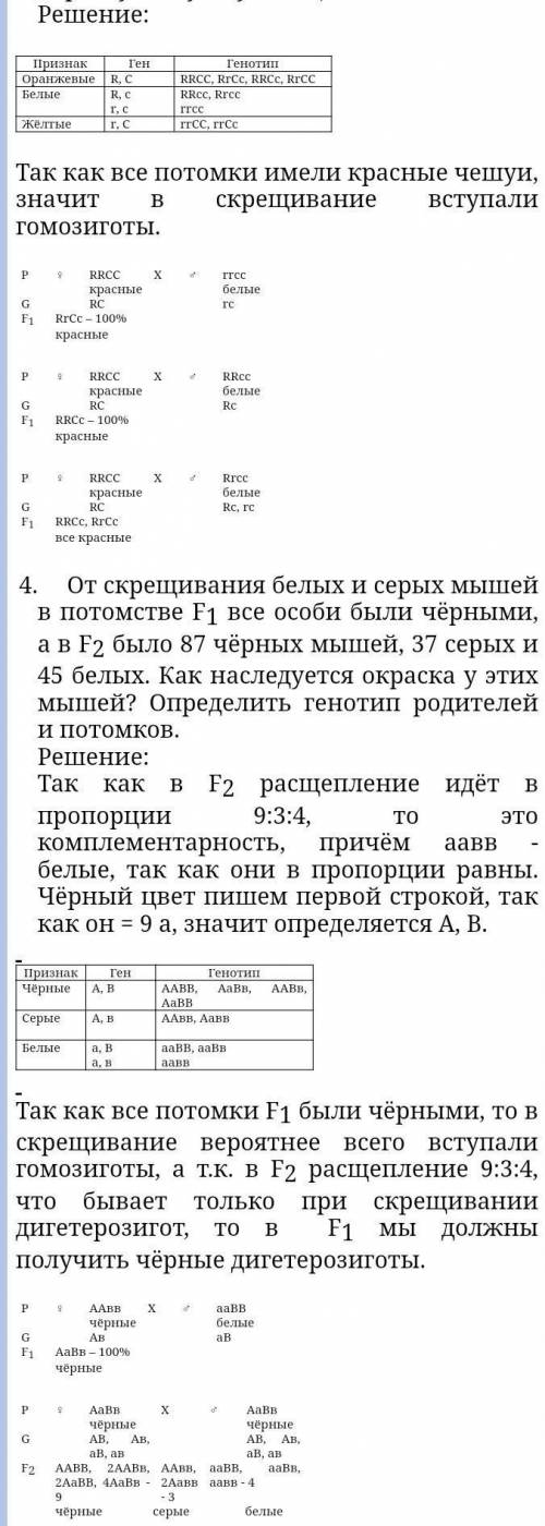 Задача 1 У лука ген R определяет красную окраску чешуй, а ген r – желтую. Любая окраска проявляется