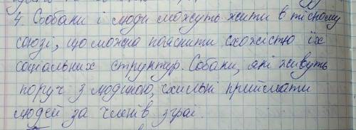 які появі ієрархії ви гаєте у стосунках між людиною та її собакою?